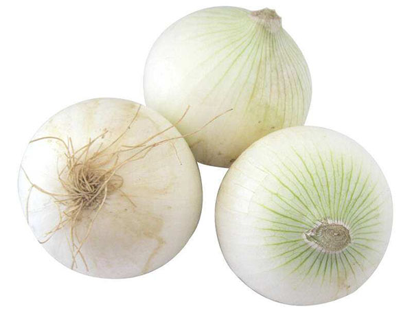 白洋蔥價(jià)格